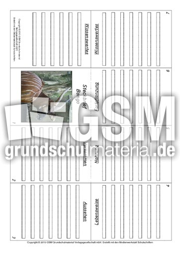 Faltbuch-Bongo.pdf